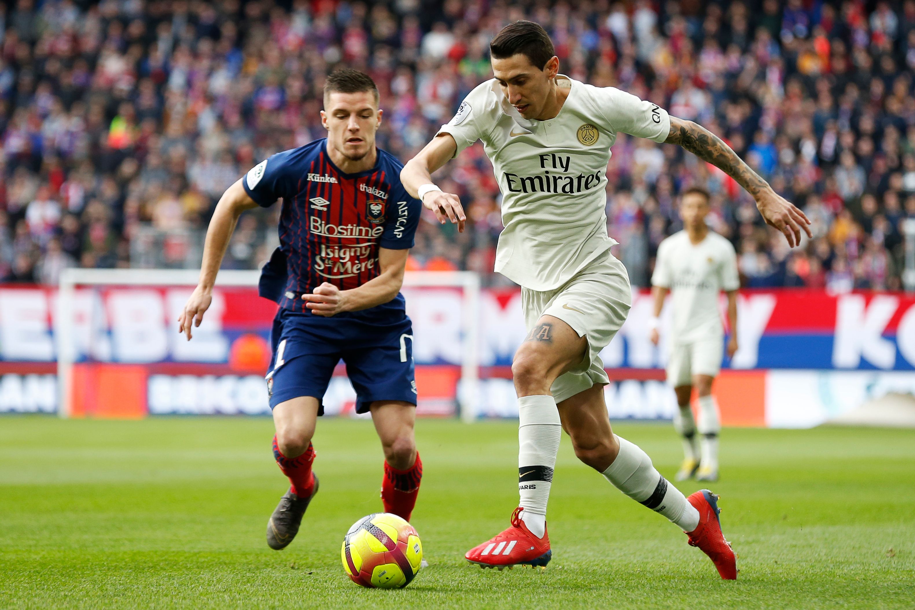 用记录表复 用记录表复