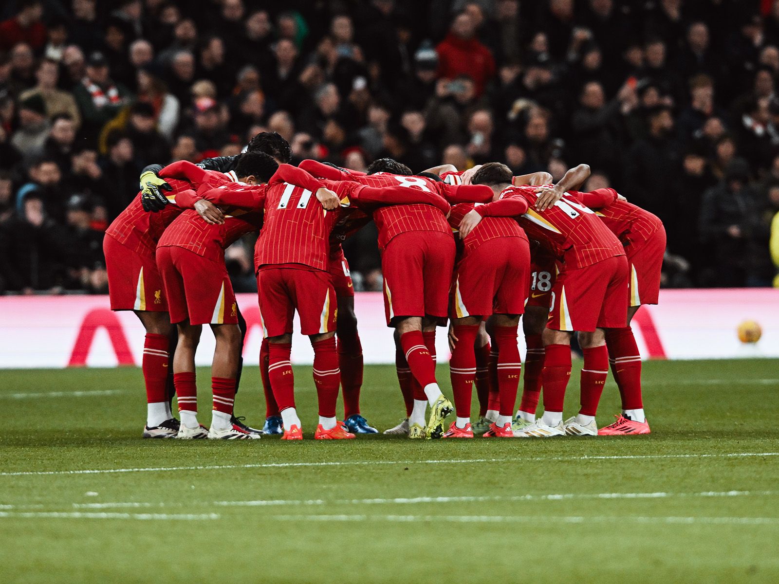 提升基础期 提升基础期